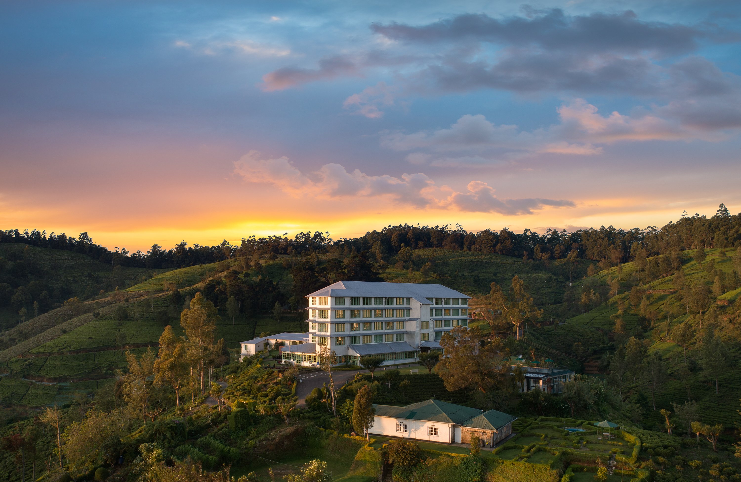 TEA FACTORY